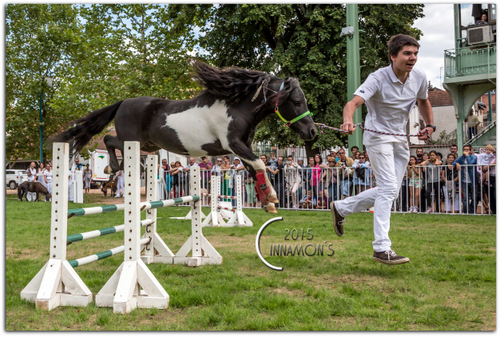 Celtic, obstacle Vichy 2015